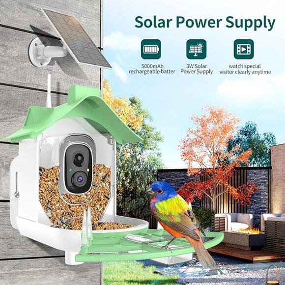 Smart Bird Feeder Camera AI Bird identification, Photos/Videos Phone App - Picture 4 of 8